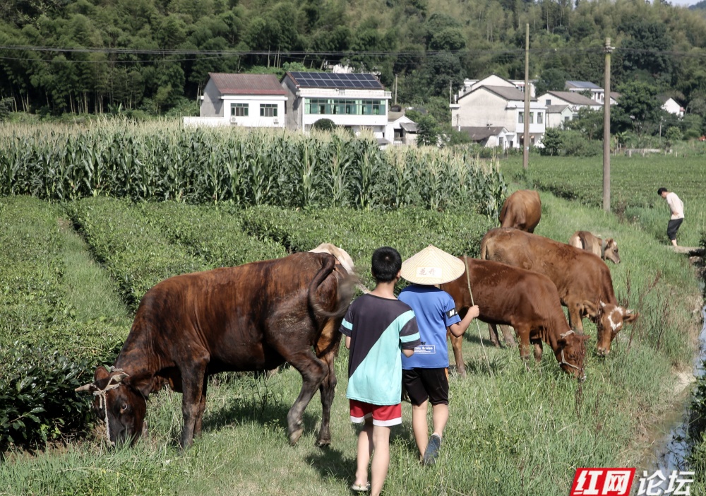 wm (1).jpg wm (1).jpg