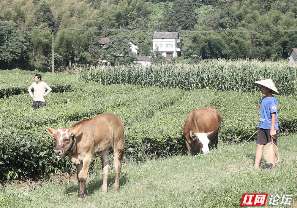 wm (3).jpg wm (3).jpg