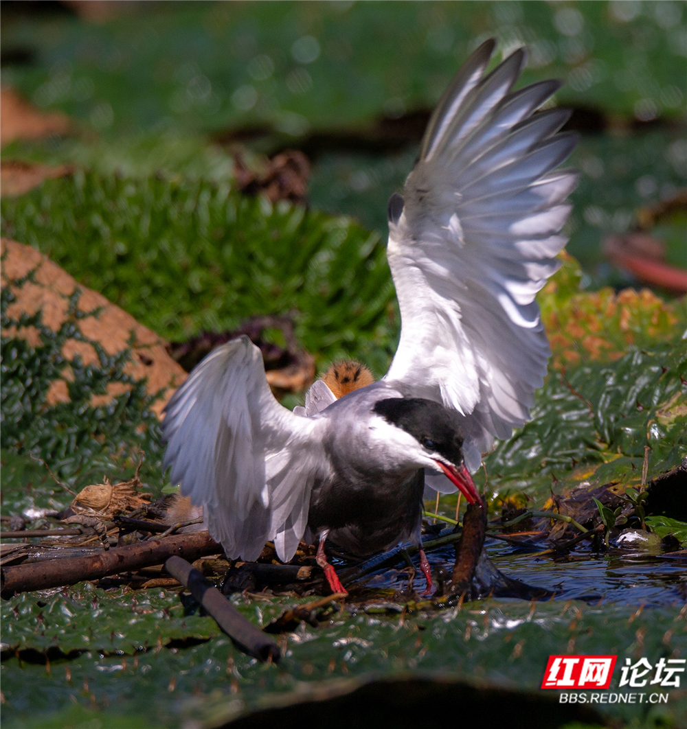 微信图片_2025-07-02_201637_900 拷贝.jpg