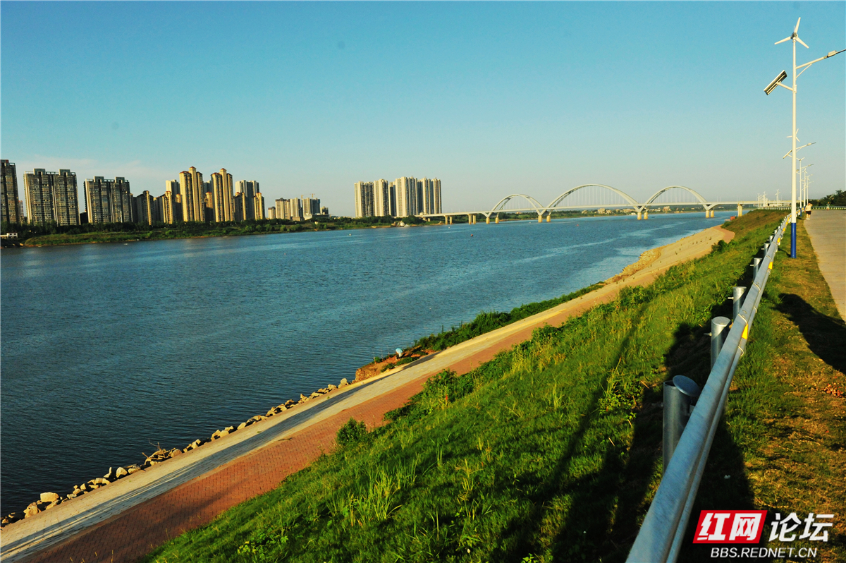 06.jpg
