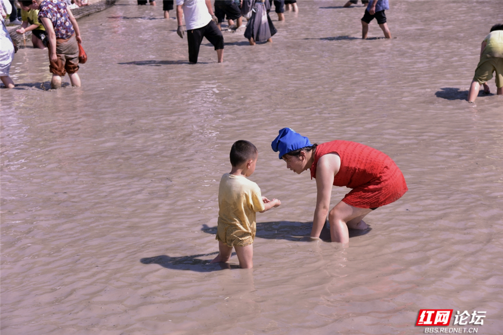 微信图片_2025-07-06_124438_883.jpg 微信图片_2025-07-06_124438_883.jpg