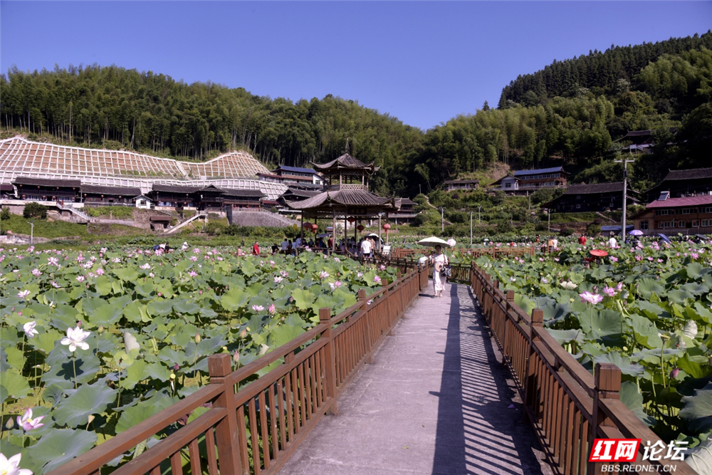 微信图片_2025-07-06_124510_019.jpg 微信图片_2025-07-06_124510_019.jpg