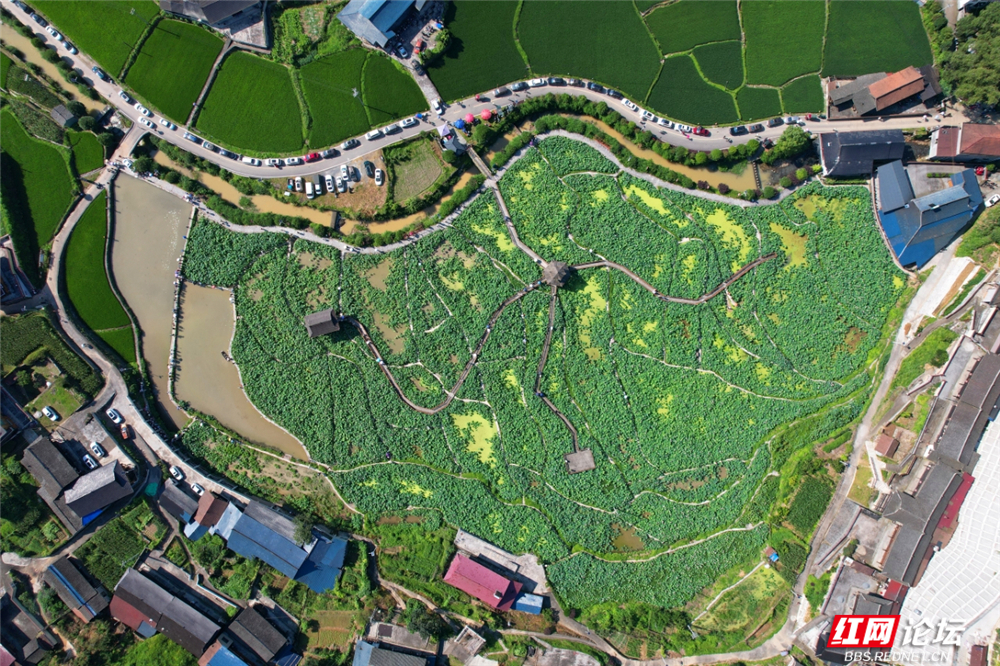 微信图片_2025-07-06_124422_100.jpg 微信图片_2025-07-06_124422_100.jpg