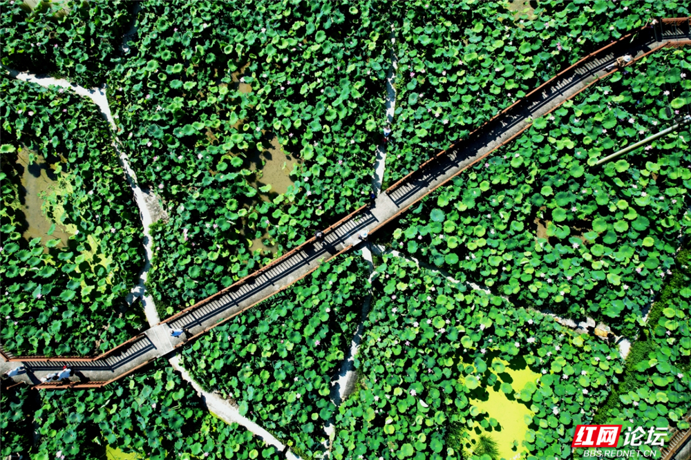 微信图片_2025-07-06_124416_147.jpg 微信图片_2025-07-06_124416_147.jpg