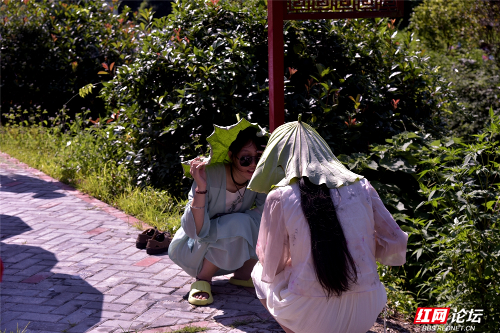 微信图片_2025-07-06_124452_779.jpg 微信图片_2025-07-06_124452_779.jpg