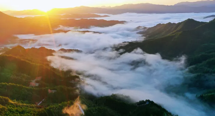 青娥山晨雾漫卷，定格天地间水墨丹青