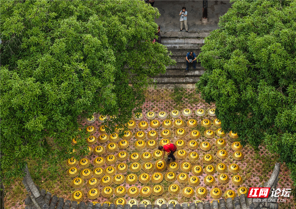 nEO_IMG_斗笠编织工艺之四：晒斗笠DJI_20250731084622_0009_D.jpg