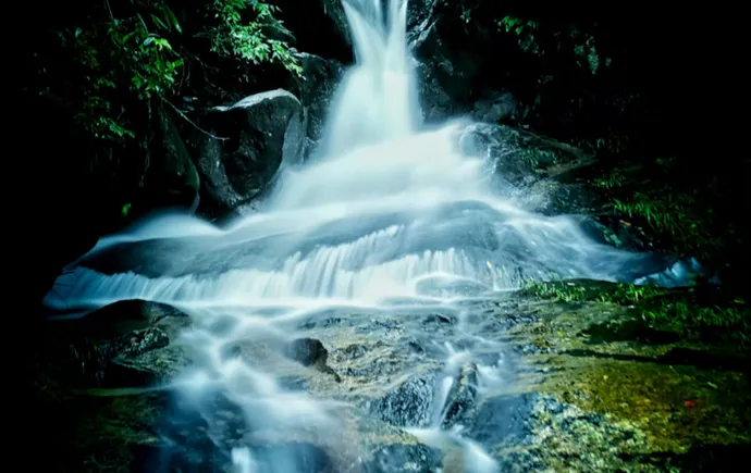 去炎陵县白鹇谷，听青苔与流水说情话