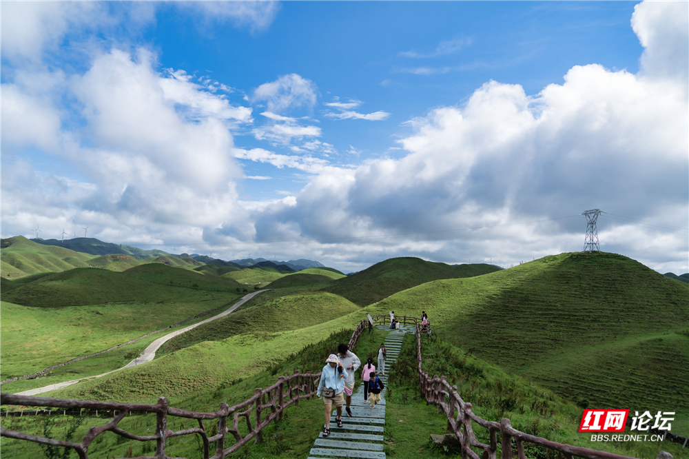 nEO_IMG__DSC4265 拷贝.jpg