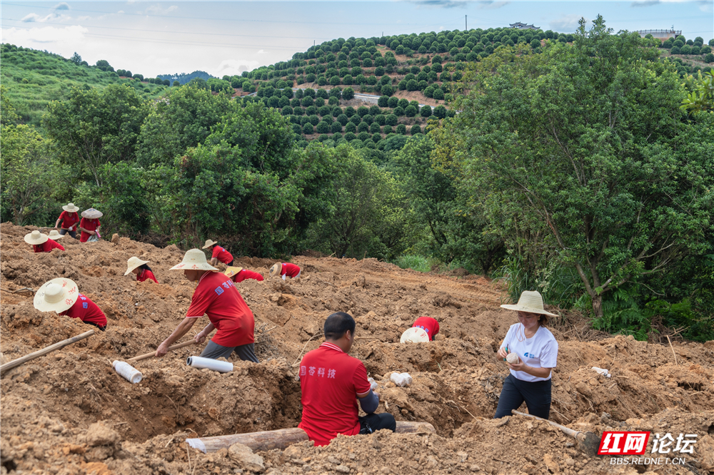 nEO_IMG__DSC6384 拷贝.jpg