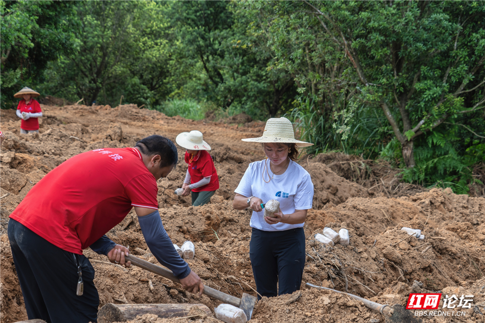 nEO_IMG__DSC6372 拷贝.jpg