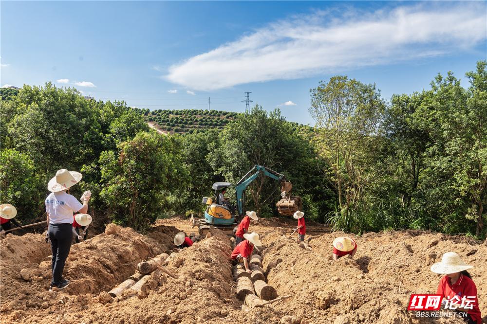 nEO_IMG__DSC6262 拷贝.jpg