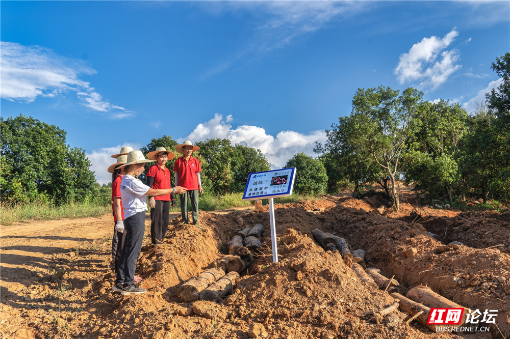 nEO_IMG__DSC6515 拷贝.jpg