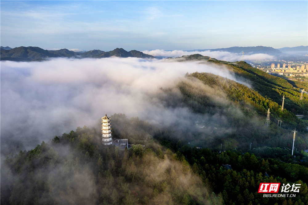 nEO_IMG_DJI_0572 拷贝.jpg