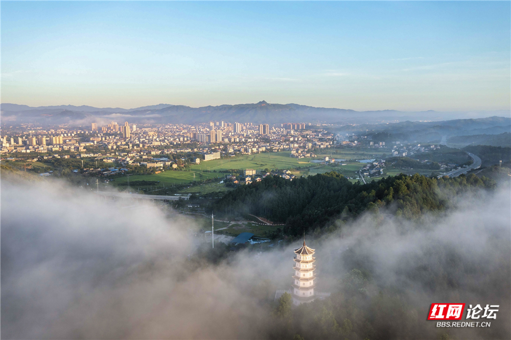 nEO_IMG_DJI_0548_2 拷贝.jpg