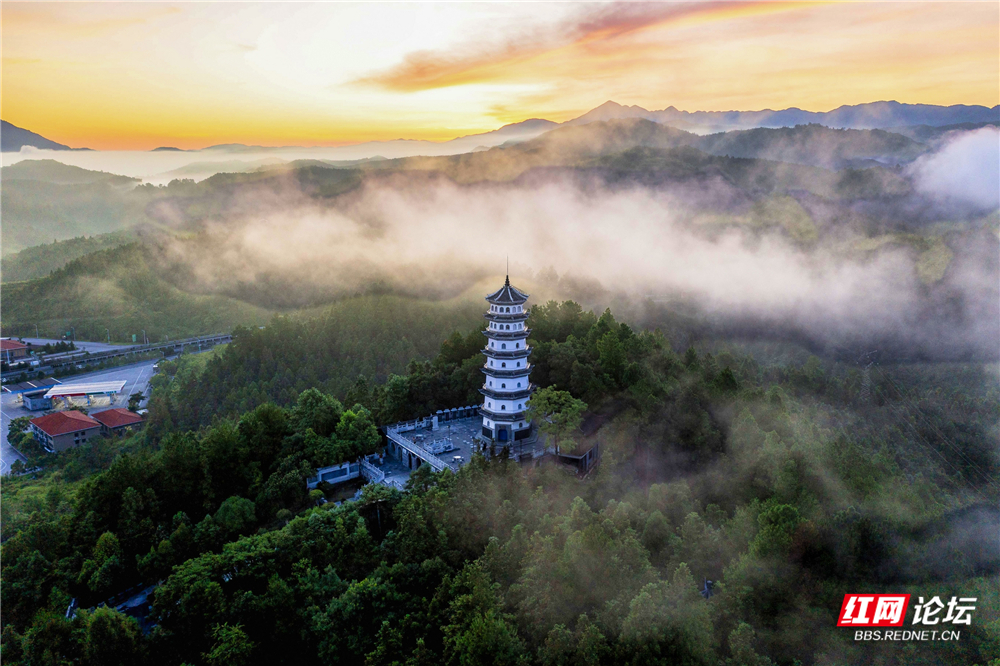 nEO_IMG_DJI_0409 拷贝.jpg