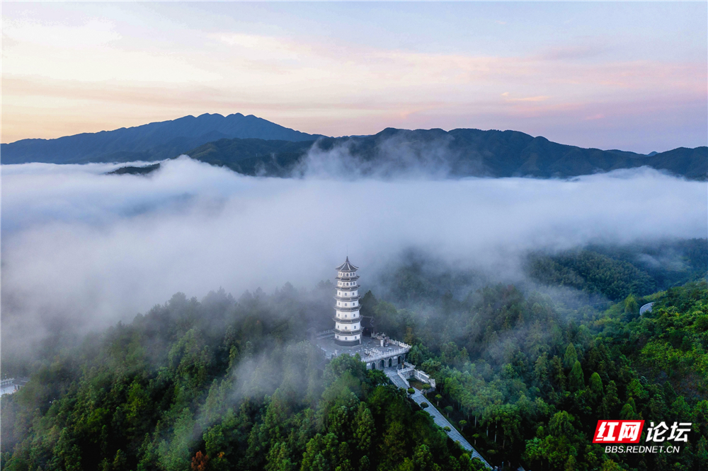 nEO_IMG_DJI_0420_1 拷贝.jpg