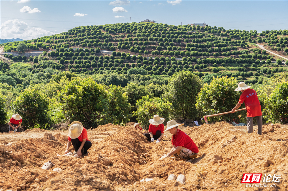 nEO_IMG__DSC6201 拷贝.jpg