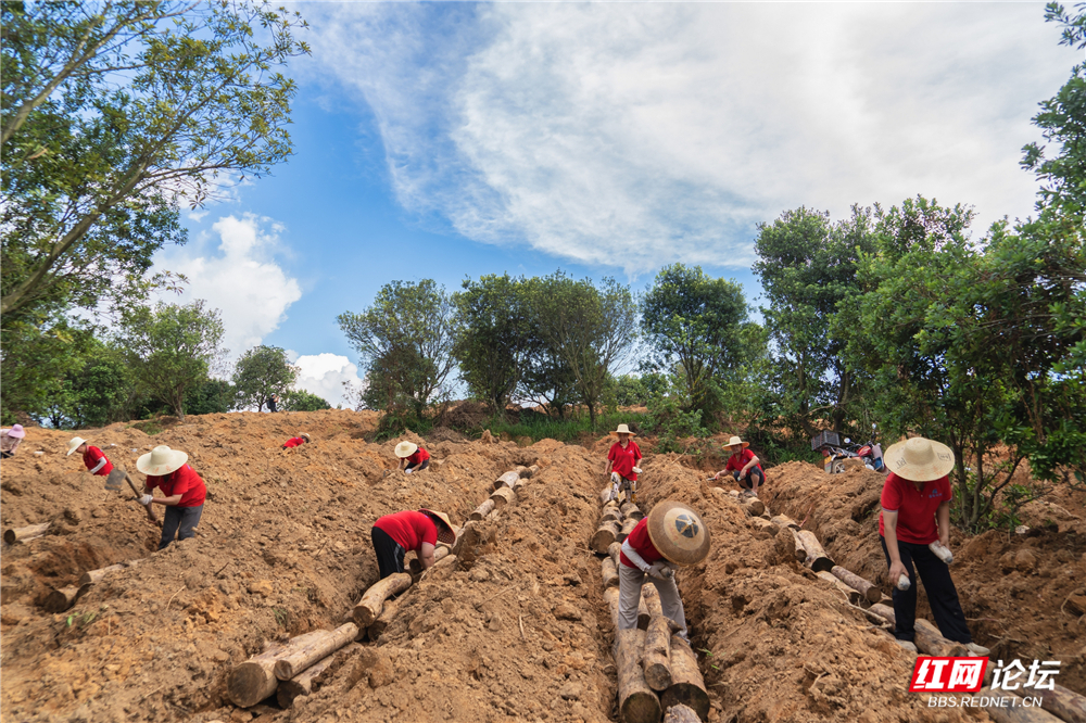 nEO_IMG__DSC6438 拷贝.jpg