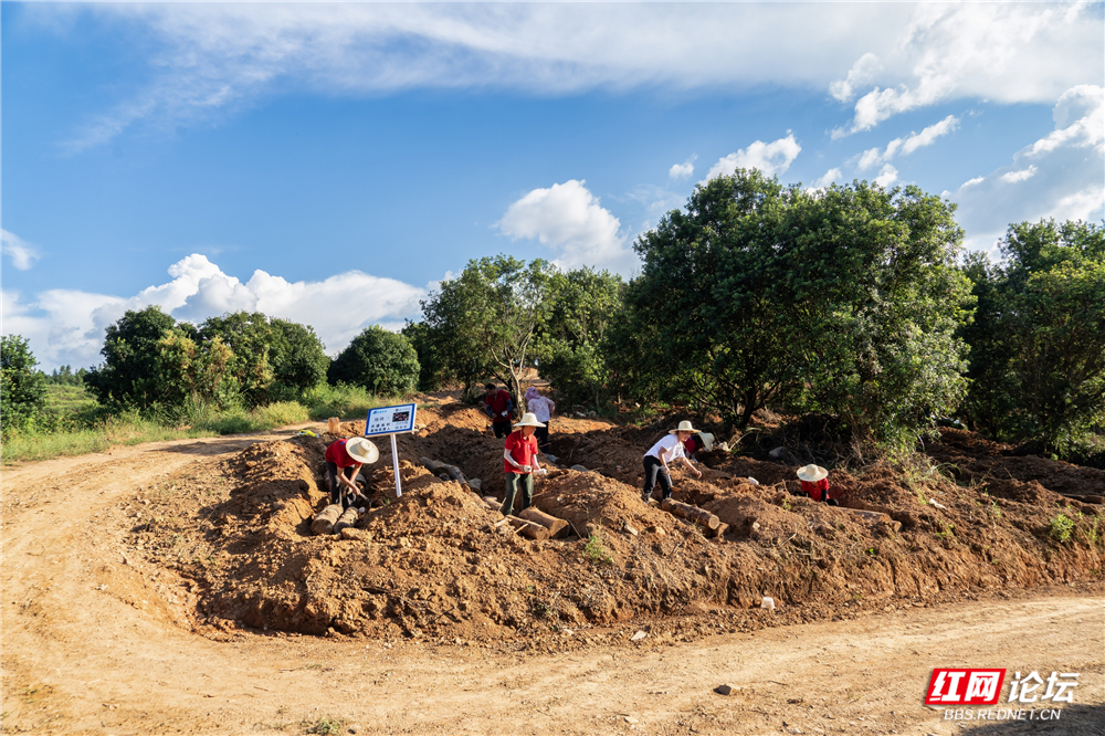 nEO_IMG__DSC6498 拷贝.jpg