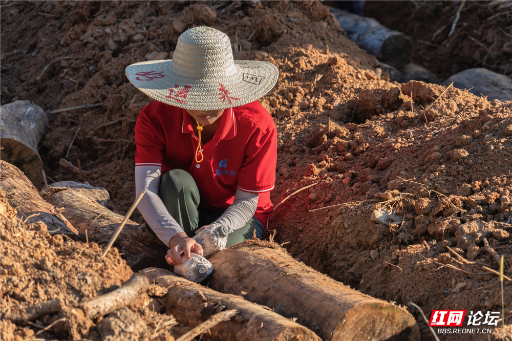 nEO_IMG__DSC6495 拷贝.jpg