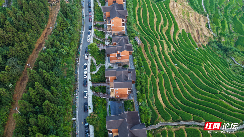 nEO_IMG_DJI_20250803061710_0016_D.jpg