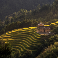 【每日一图@湖南】山风轻吟稻香曲，炎陵梯田舞丰年