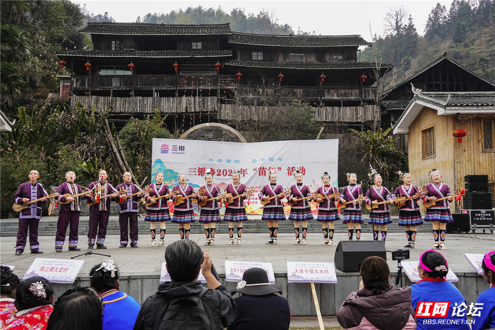 073 文艺汇演-非遗侗琵琶.jpg