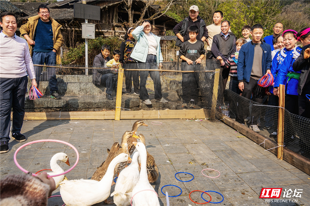 070 趣味游戏套大鹅.jpg