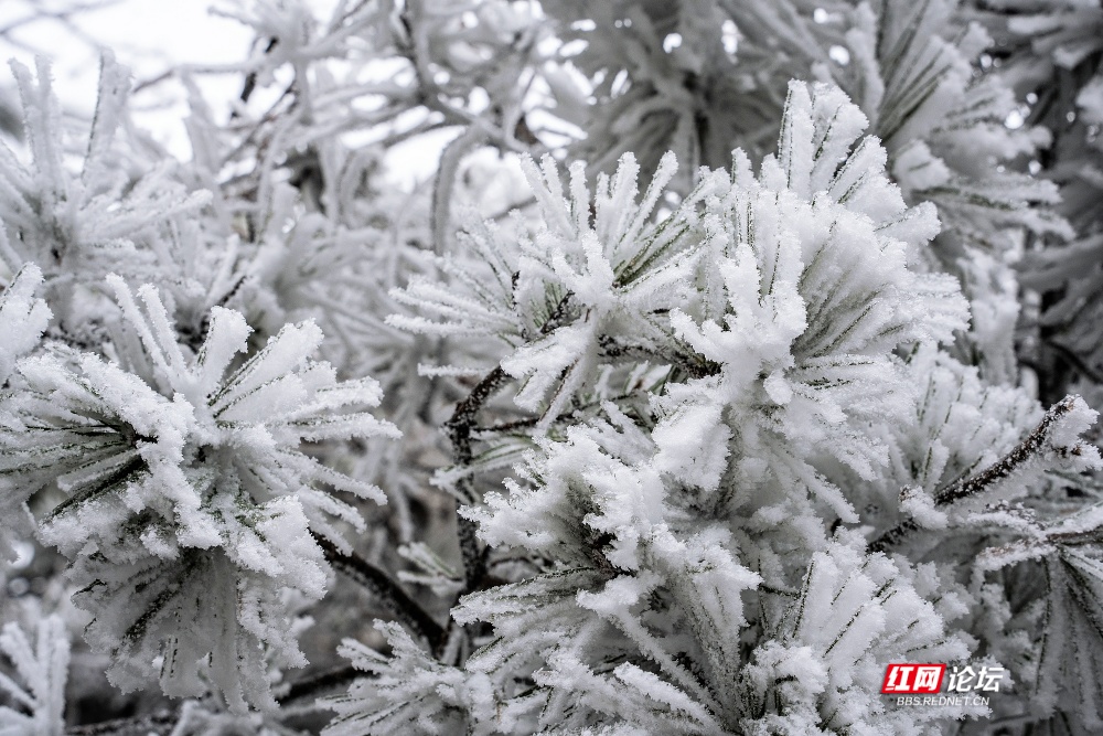 nEO_IMG__DSC5981 拷贝.jpg