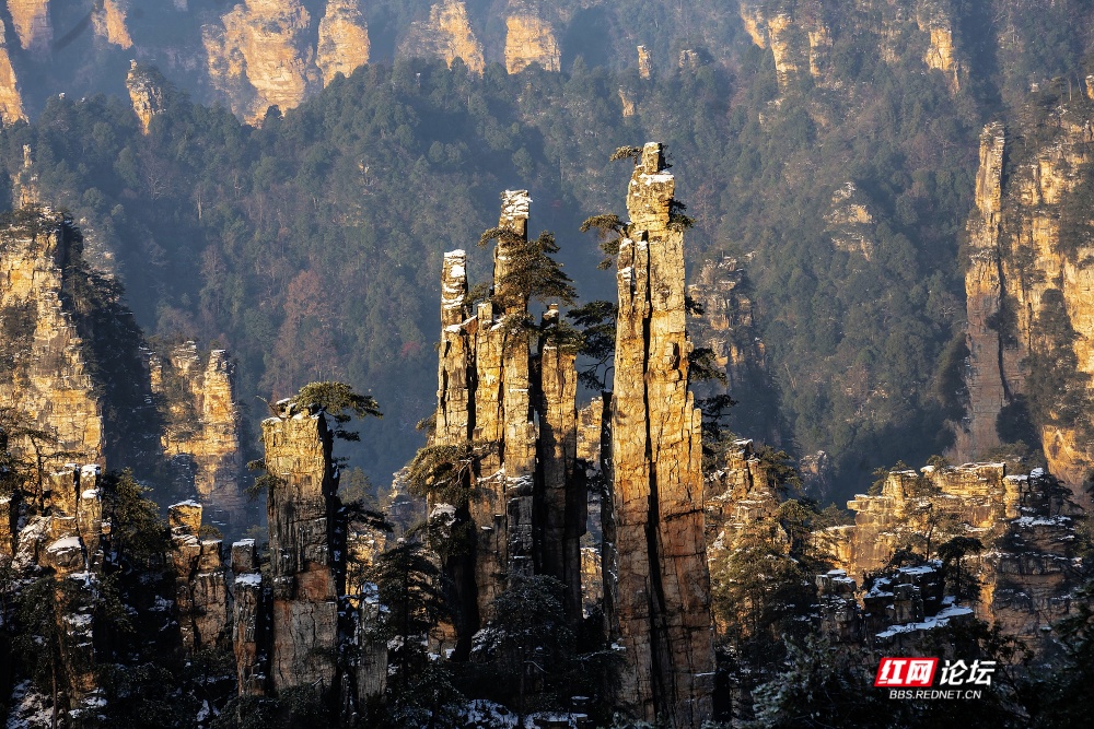 nEO_IMG__DSC8088 拷贝.jpg