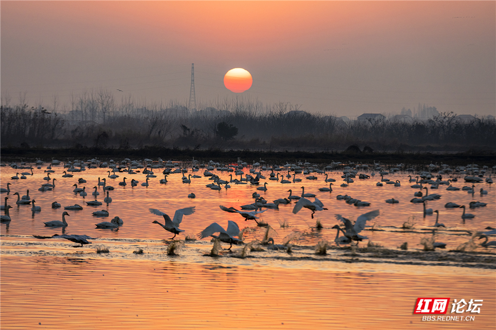 微信图片_20260124210448_626_584.jpg 微信图片_20260124210448_626_584.jpg