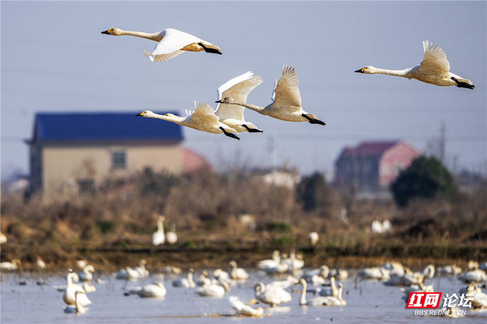 微信图片_20260124210512_636_584.jpg 微信图片_20260124210512_636_584.jpg