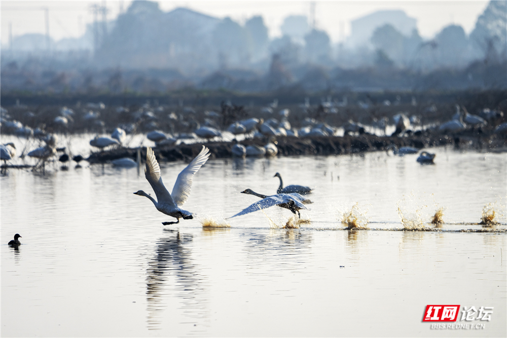 微信图片_20260124210506_634_584.jpg 微信图片_20260124210506_634_584.jpg