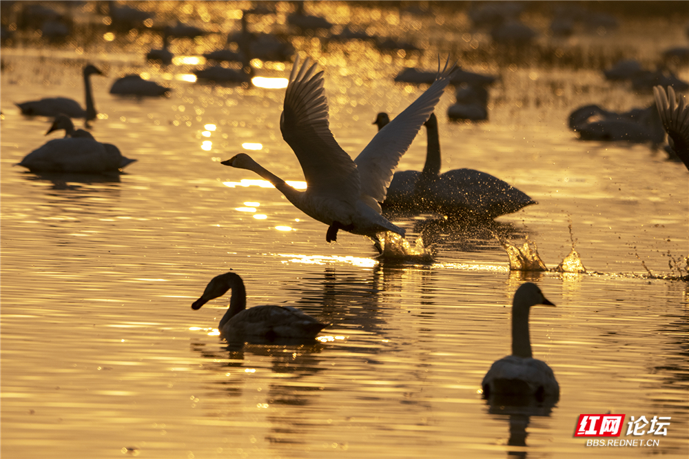 微信图片_20260124210439_622_584.jpg 微信图片_20260124210439_622_584.jpg