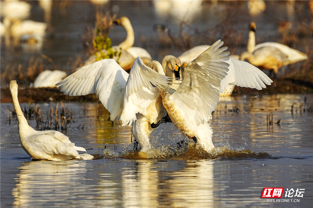 微信图片_20260125145506_717_584.jpg 微信图片_20260125145506_717_584.jpg