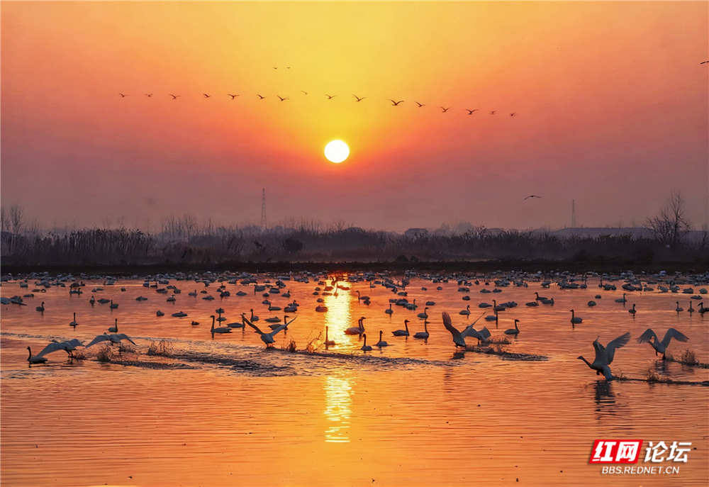 微信图片_20260124210442_623_584.jpg 微信图片_20260124210442_623_584.jpg