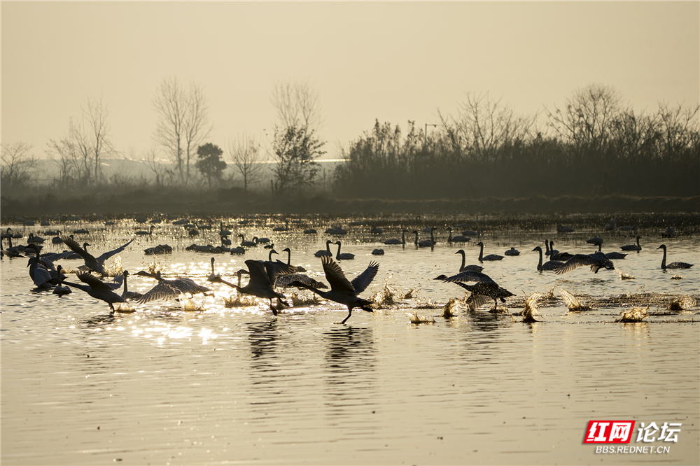 微信图片_20260124210452_628_584.jpg 微信图片_20260124210452_628_584.jpg