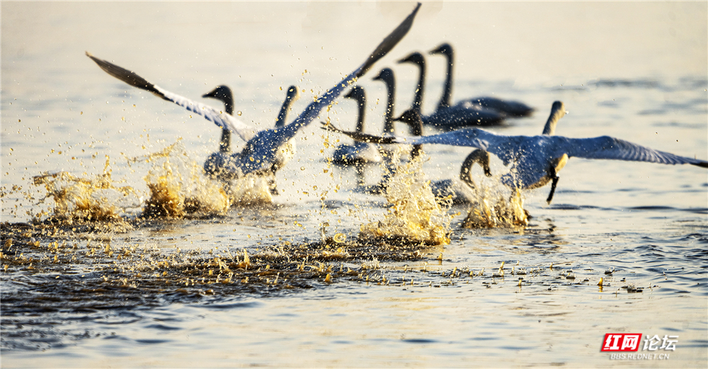 微信图片_20260124210450_627_584.jpg 微信图片_20260124210450_627_584.jpg