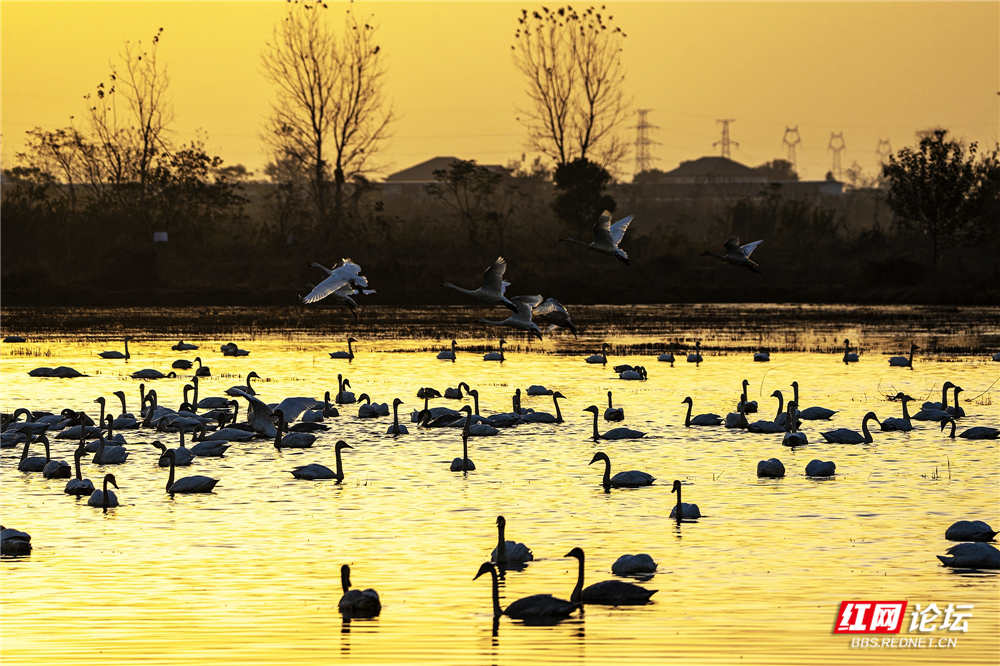 nEO_IMG_微信图片_20260124210444_624_584.jpg nEO_IMG_微信图片_20260124210444_624_584.jpg