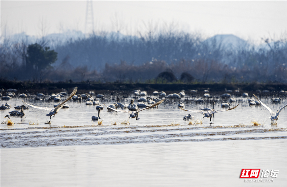 微信图片_20260125145011_713_584.jpg 微信图片_20260125145011_713_584.jpg