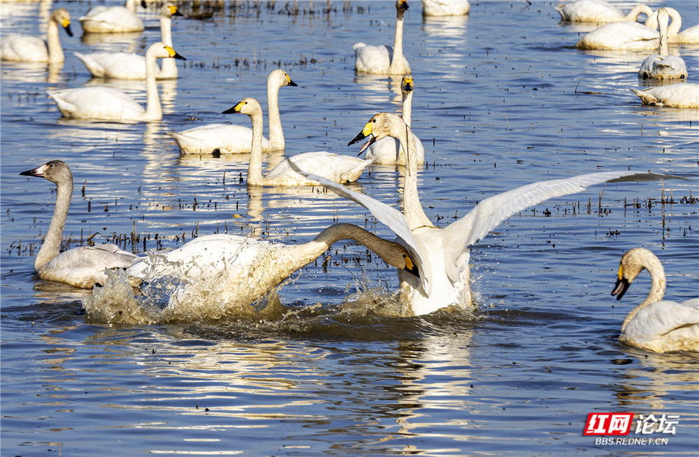 微信图片_20260124210502_632_584.jpg 微信图片_20260124210502_632_584.jpg