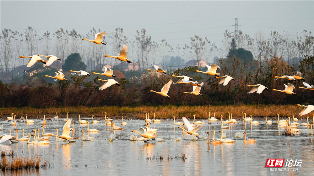 微信图片_20260125145512_721_584.jpg 微信图片_20260125145512_721_584.jpg