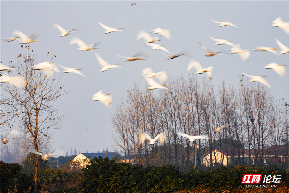 微信图片_20260125145510_720_584.jpg 微信图片_20260125145510_720_584.jpg