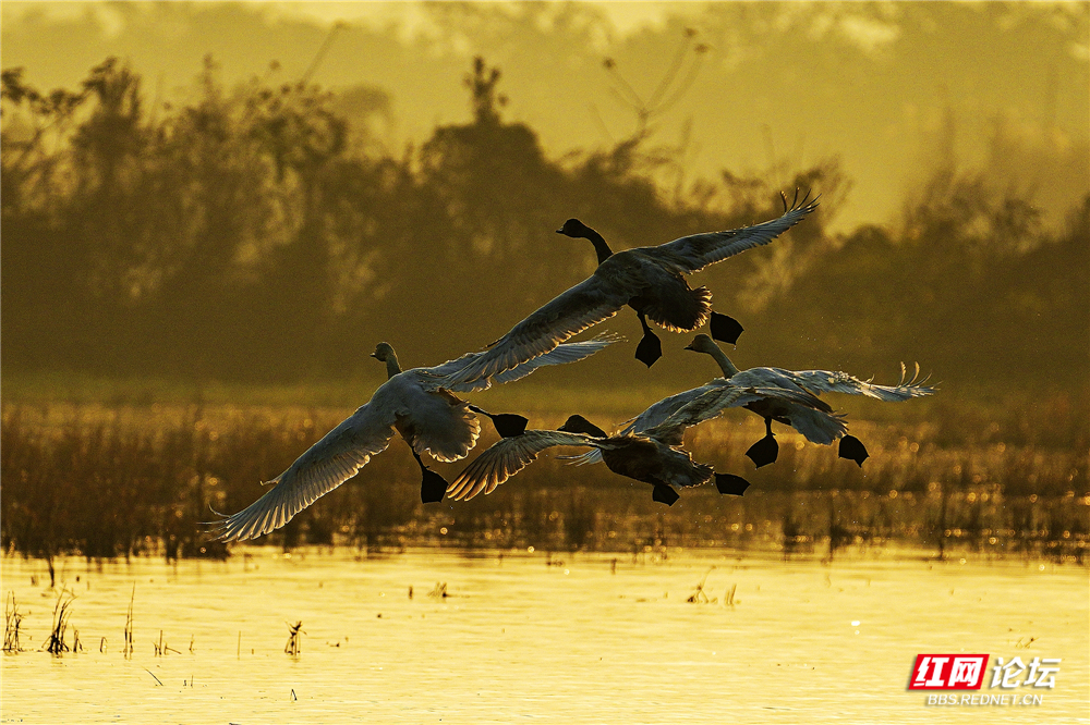 nEO_IMG_微信图片_20260125145503_715_584.jpg nEO_IMG_微信图片_20260125145503_715_584.jpg