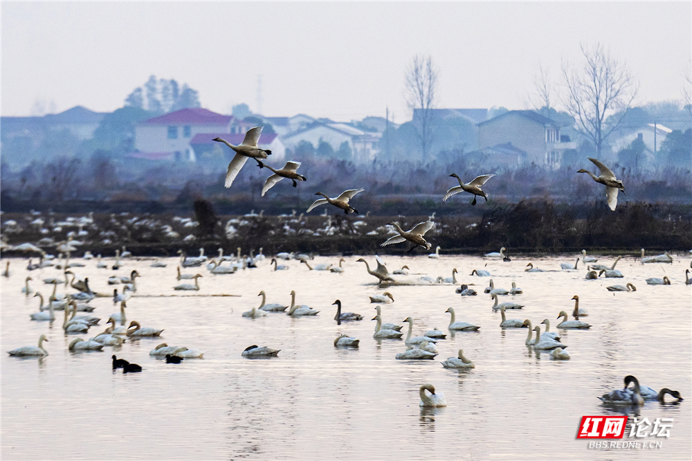 nEO_IMG_微信图片_20260125150322_725_584.jpg nEO_IMG_微信图片_20260125150322_725_584.jpg