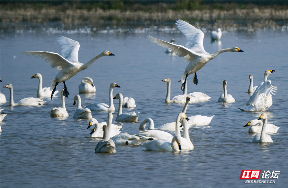 微信图片_20260125150041_723_584.jpg 微信图片_20260125150041_723_584.jpg