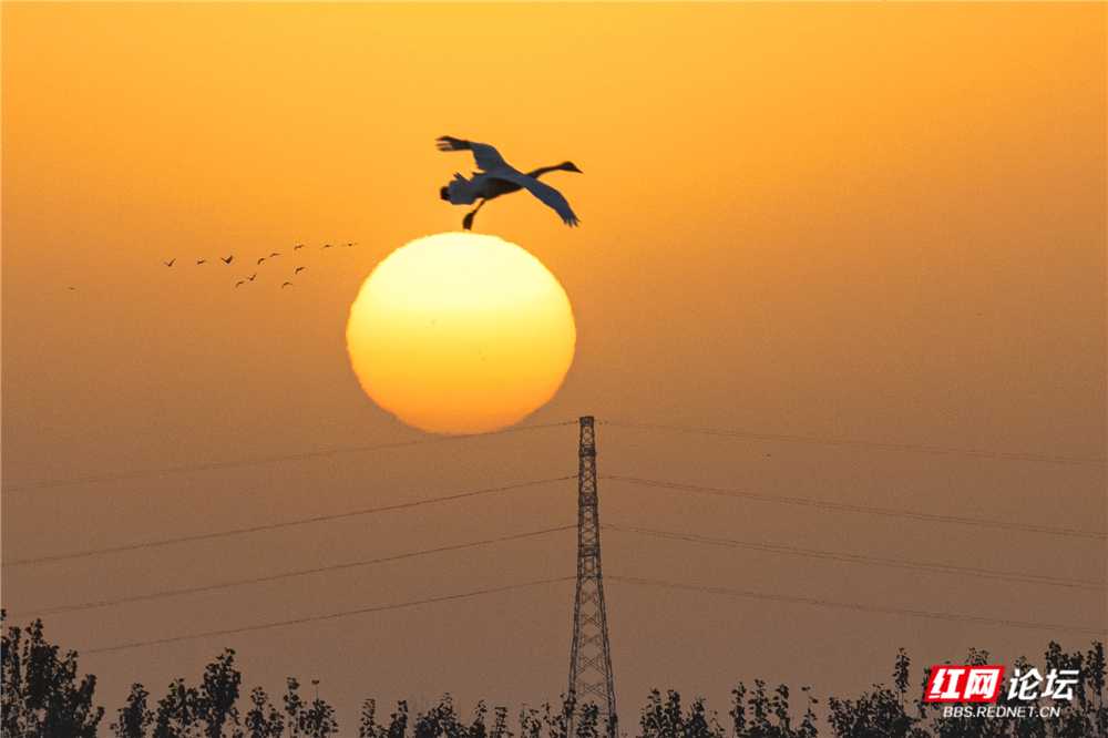 微信图片_20260124210508_635_584.jpg 微信图片_20260124210508_635_584.jpg