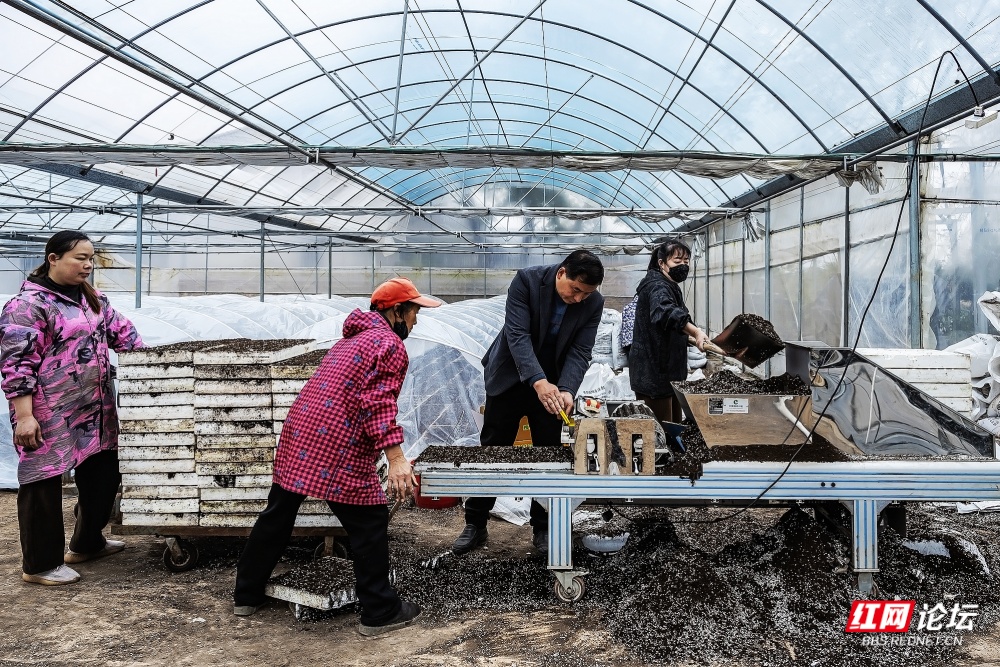 nEO_IMG_微信图片_20251231124904_15_3043.jpg nEO_IMG_微信图片_20251231124904_15_3043.jpg