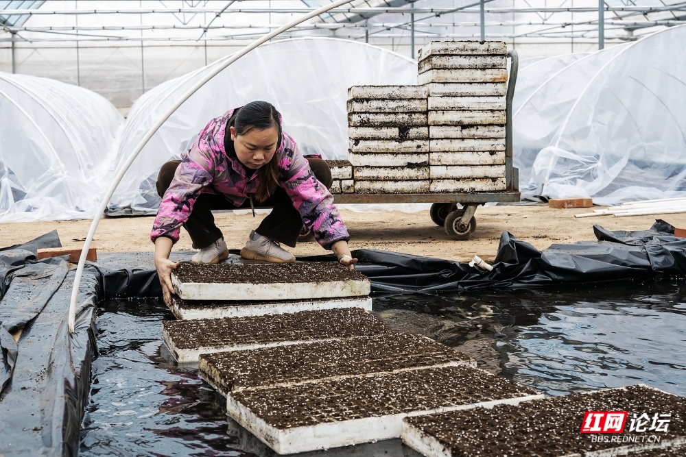 nEO_IMG_微信图片_20251231124918_17_3043.jpg nEO_IMG_微信图片_20251231124918_17_3043.jpg